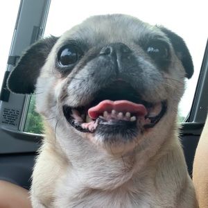 Meet your Posher, Jodi